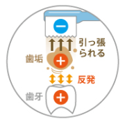 マイナスイオン効果でお口ツルツル